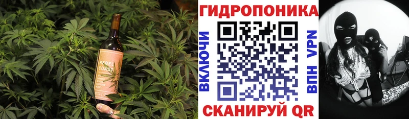 Canna-Cookies марихуана где продают Трёхгорный