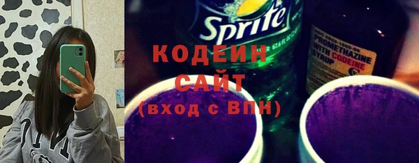 ГАЛЛЮЦИНОГЕННЫЕ ГРИБЫ Верея