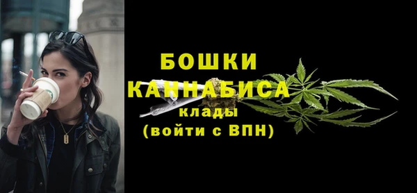 ГАЛЛЮЦИНОГЕННЫЕ ГРИБЫ Верея