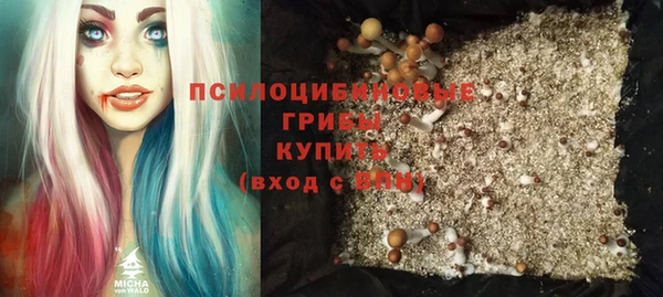 ГАЛЛЮЦИНОГЕННЫЕ ГРИБЫ Верея