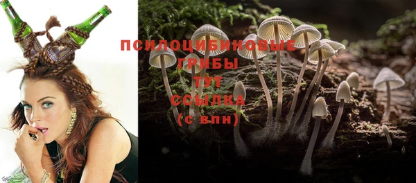 мескалин Протвино