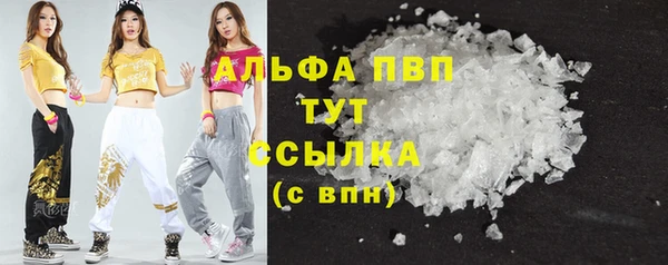 ГАЛЛЮЦИНОГЕННЫЕ ГРИБЫ Верея